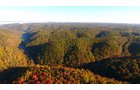 Property photo 27 - LAND AUCTION - 1,682+/- ACRES OFFERED IN 17 TRACTS IN LEWIS & GREENUP COUNTIES, KENTUCKY